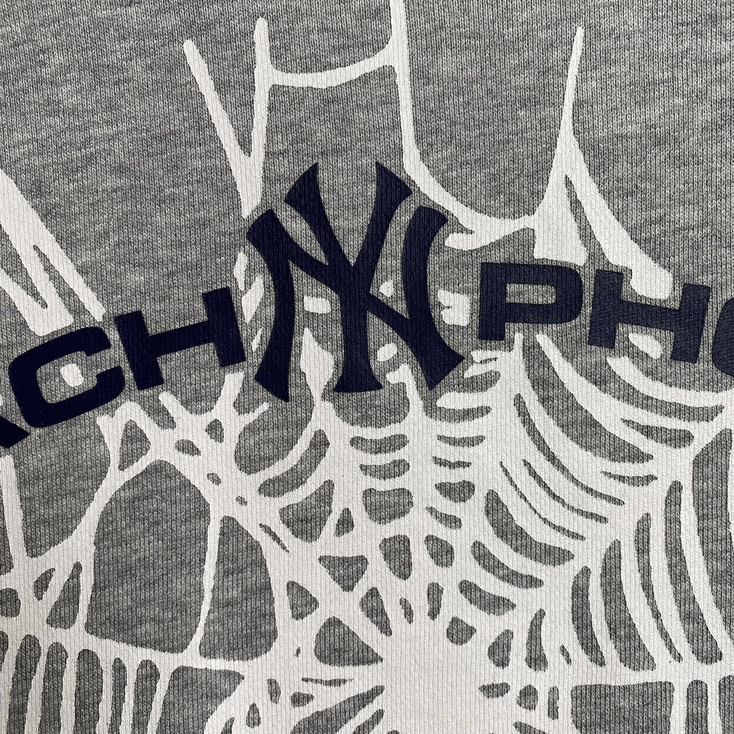 Sweat à capuche SP5DER ARACH NY PHOBIA gris cendre