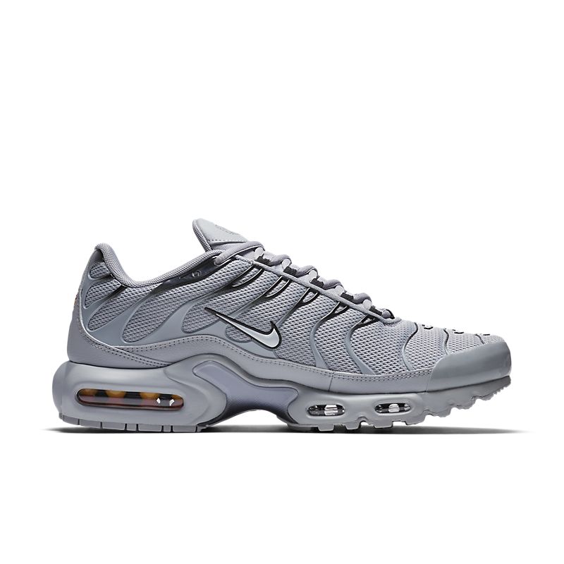 Air Max Plus Gris 3M