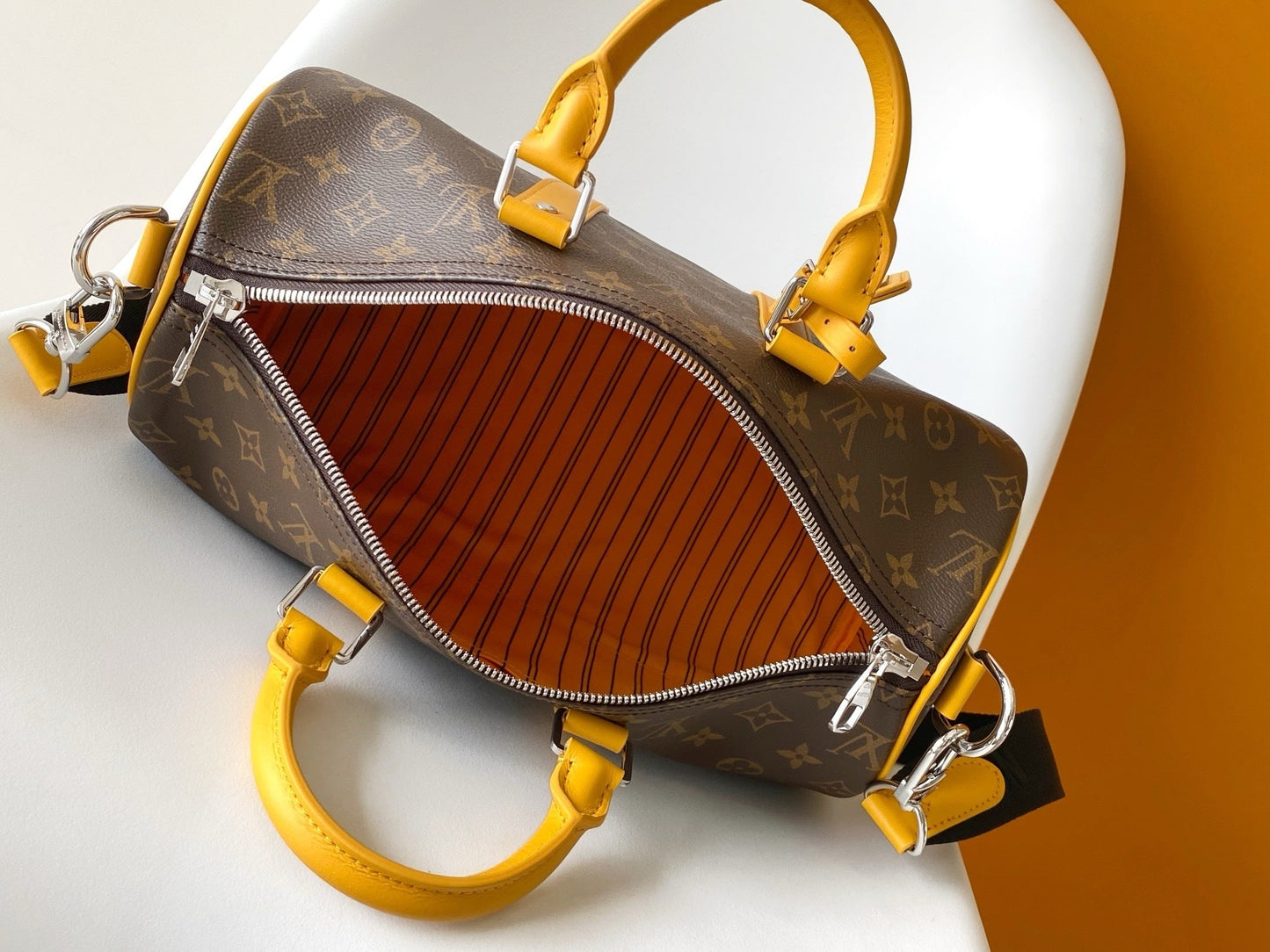 SAC LOUIS VUITTON