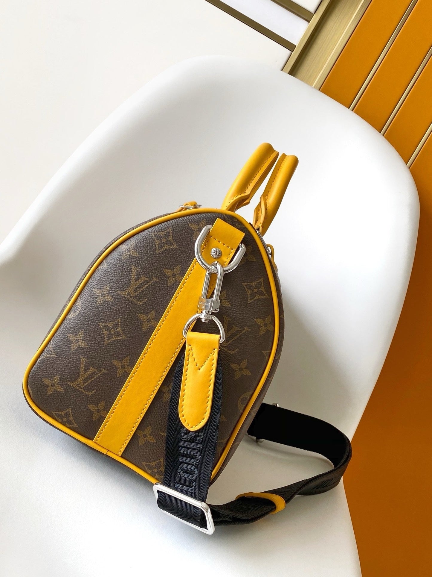 SAC LOUIS VUITTON