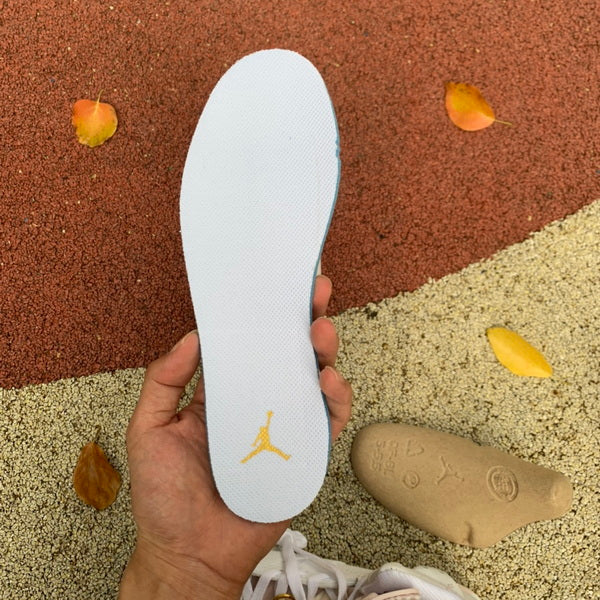 Jordan 6 retro gold hoops