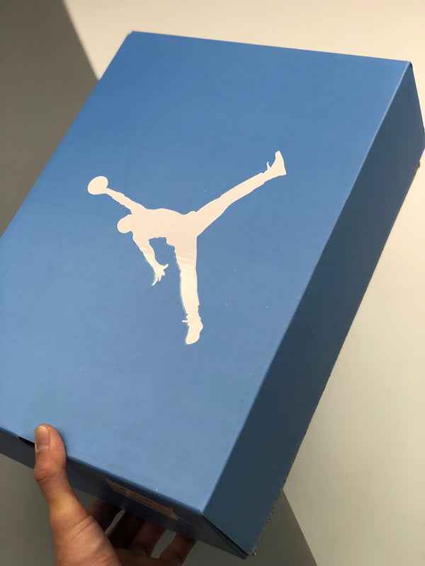 Jordan 6 "UNC"