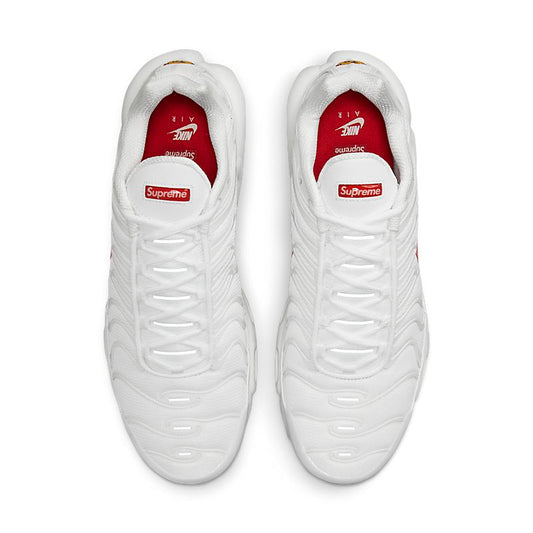 Nike x Supreme Air Max Plus