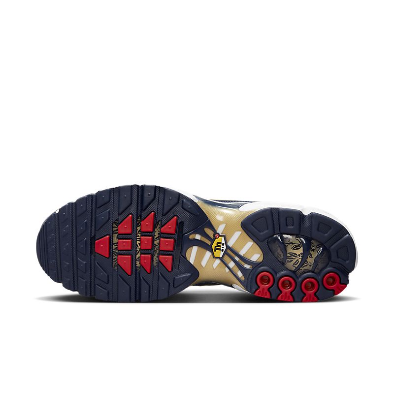 Nike Air Max Plus TN GS « FFF »