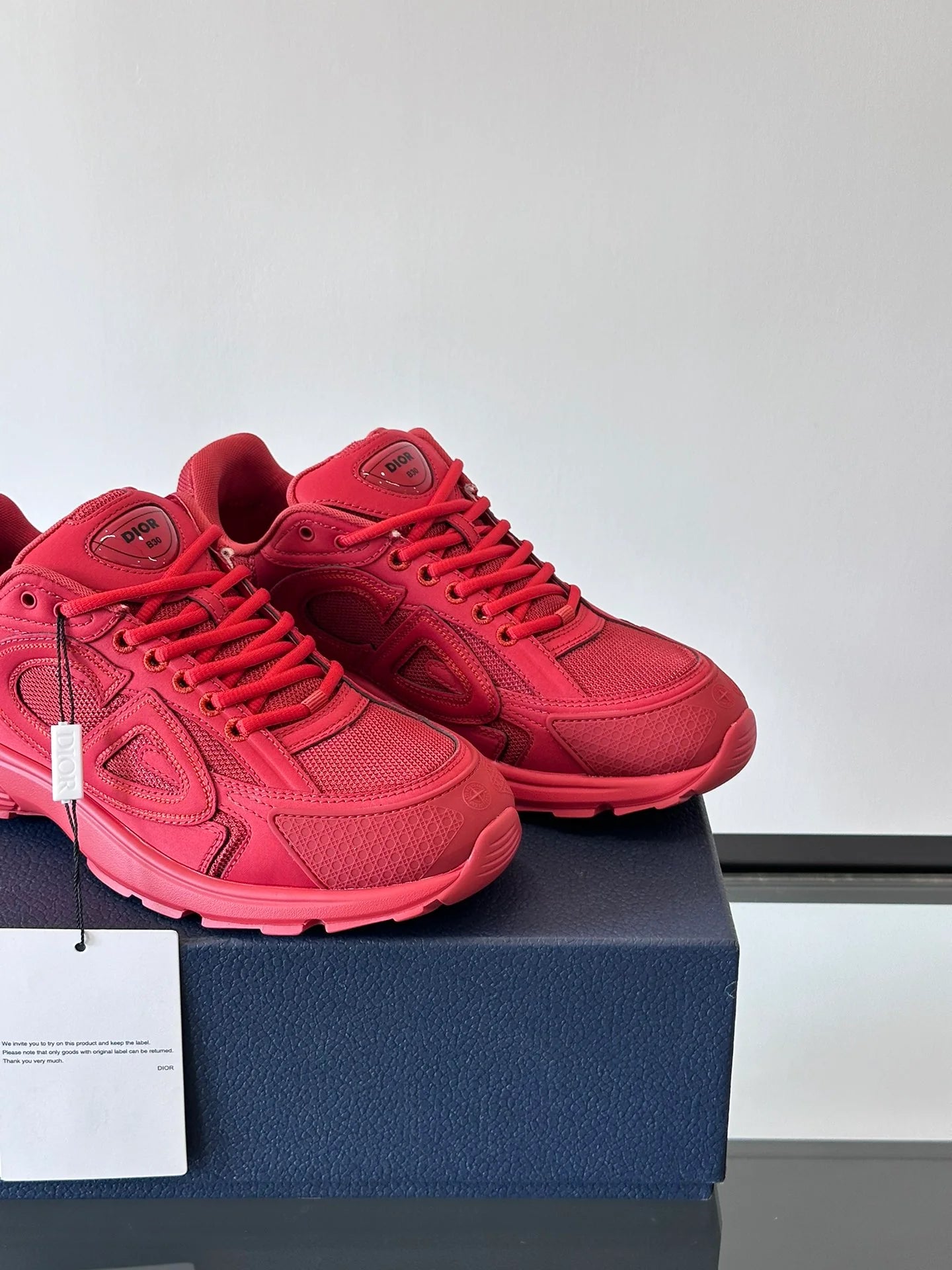STONE ISLAND x DIOR B30 RED