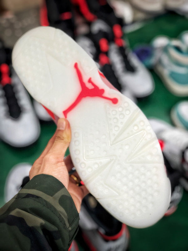 Jordan 6 X Aleali May